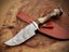 Hand Made Damascus Steel Stag Horn & Rose Wood Handle Collector Knife RRP 400$ Carousel 6