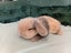 Super Cute Purebred Minilop Babies Carousel 13
