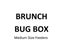 1.BRUNCH BUG BOX Medium Size feeders Carousel 1