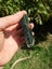 Pounamu greenstone slab epic colours Carousel 6