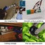 Fruit Picker Tool Grabber Fruit Picker *Local STOCK NOW* Carousel 15