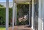 gallery view thumbnail