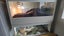 Bearded dragon + Blue tongue skink's x 2 full setup Carousel 5