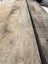 3 LM A grade solid 150 x53 Black Maire timber Carousel 5