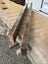 3 LM A grade solid 150 x53 Black Maire timber Carousel 4