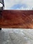 168 × 80/50 × 11 cm North Rata Slab Carousel 8