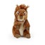 Rappa: Squirrel (21cm) Carousel 2