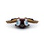 Godzilla - Mothra Plush (9") Carousel 3