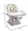 Fisher-Price High Chair Carousel 2