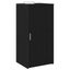 Storage Cabinet Black 50X45X103.5 Cm Engineered Wood Npkbat Carousel 1