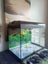 Aqua One Imagitarium 38L fish tank Carousel 3