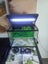 Aqua One Imagitarium 38L fish tank Carousel 2