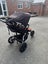 Mountain Buggy + One Carousel 3
