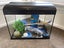 Aqua One Aquarium- Ecostyle 47 Carousel 1