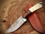 Amazing Hand Made Damascus Steel Bone & Wood Handle Skinner Knife RRP 300$ Carousel 7