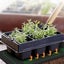 Seedling Heat Mat 52.5*25cm with timer *Clearance Sale Carousel 4