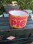 Georgie pie ,Lamp shade Carousel 1