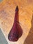 Large Red Genie Bottle Carousel 2