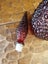 Large Red Genie Bottle Carousel 5