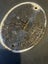 VINTAGE SAFE PLATE SAMUELS WITHERS & Co WESTBROMWICH Carousel 5