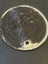 VINTAGE SAFE PLATE SAMUELS WITHERS & Co WESTBROMWICH Carousel 7