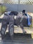 Loading Image 2 of 4