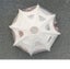 Coody Aurora Dome Air Tent Carousel 7