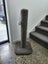 Kat Attack Pole only $40 Carousel 1