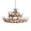 FAUX ANTLER CHANDELIER (LARGE) - NATURAL - VERY REALISTIC Carousel 1