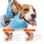 Dog Ear Cleaner, Ear Infection Treatment for Dogs and Cats, Pet Removal Ear Hair Carousel 9