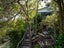 gallery view thumbnail