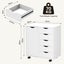 File Cabinet Filing 5 Drawer Document Organiser Mobile Desk Carousel 7