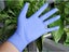 Nitrile Gloves 100pcs NZ Clearance Carousel 3