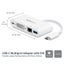 StarTech.com DKT30CDVPD USB-C Power Delivery Multiport Adapter - USB-A, DVI, ... Carousel 4