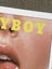 A4 VINTAGE 1973 PLAYBOY MAGAZINE Cover Art Print Carousel 3