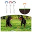 Yes4pets 2 X Pet Dog Puppy Chrome Plated Corkscrew Spiral Tie Out Stake Carousel 6
