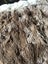 Natural Rabbit Pelt 33cm x 39cm Carousel 3