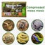 Compressed Sphagnum Moss for Potted Plant Orchid Potting Mix Peat Moss Pole Carousel 6