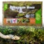 Compressed Sphagnum Moss for Potted Plant Orchid Potting Mix Peat Moss Pole Carousel 10