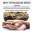 Compressed Sphagnum Moss for Potted Plant Orchid Potting Mix Peat Moss Pole Carousel 11