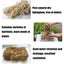 Compressed Sphagnum Moss for Potted Plant Orchid Potting Mix Peat Moss Pole Carousel 12