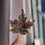 Colorful Rhinestone Leaf Brooch – Sparkling Multicolor Maple Leaf Carousel 10