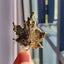 Colorful Rhinestone Leaf Brooch – Sparkling Multicolor Maple Leaf Carousel 14