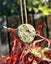 New Zealand Pounamu Breath Pendant Carousel 3