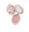 Flower Knows Strawberry Rococo Embossed Blush Carousel 1