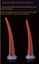 On sale Octopus Dildo Anal Plug Silicone Butt Anus Prostate Massager Vagina Carousel 8