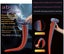 On sale Octopus Dildo Anal Plug Silicone Butt Anus Prostate Massager Vagina Carousel 11