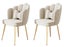 Comfortable Velvet Living Room Dining Chair Set of 2 PCs Snap Deal Carousel 1