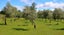gallery view thumbnail