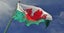 Welsh Wales Flag Carousel 4